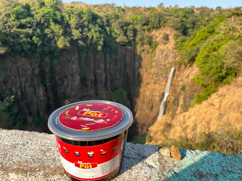 Travel Pot